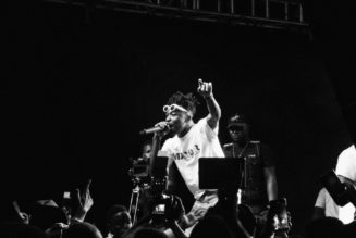 Digitization and Globalization: Where is the African Music Industry?