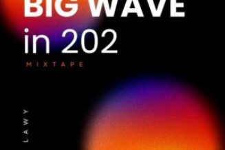 DJ Lawy - Big Wave In 202 Mix (Mixtape)