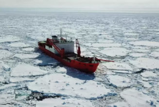 Expeditions gone wrong: When travel turned rogue