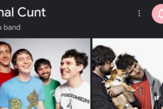 Google Thinks Animal Collective is Anal Cunt