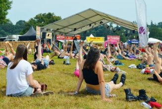 How the middle class ruined music festivals