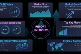 Luxury Fashion Industry Size Research Stories 2023-2030