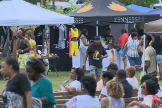 Music City Freedom Festival draws crowds at Hadley Park for Juneteenth celebration