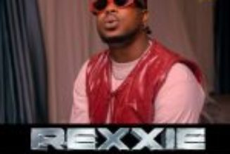 Rexxie - Life Of the Party Mix: Big Vibe Vol. II (Mixtape)