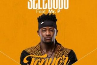 Selebobo ft Mr P - Tonyor