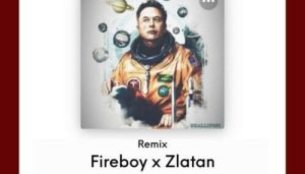 Shallipopi ft Fireboy DML & Zlatan - Elon Musk (Remix)