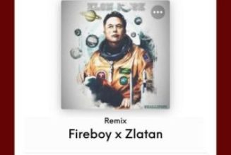Shallipopi ft Fireboy DML & Zlatan - Elon Musk (Remix)