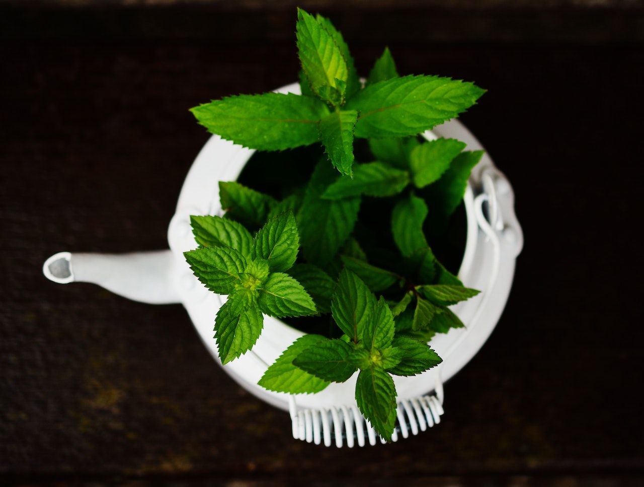 benefits of peppermint tea