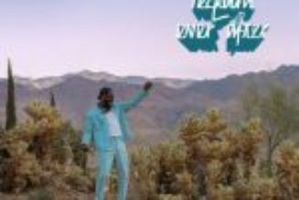 Adekunle Gold - Ogaranya