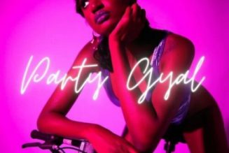 Bella Alubo - Party Gyal