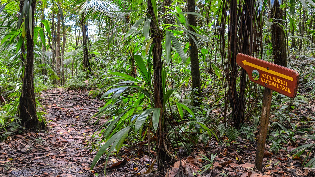 A wooden sign on segment 5 of the Waitukubuli National Trail is seen above. The trail is 100 miles across the island of Dominica, the longest hiking trail in the Caribbean. (Tom Madge-Wyld via Getty Images)