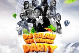 DJ Salam - We Wanna Party Mix (Mixtape)