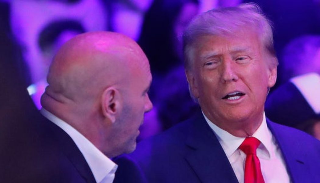Donald Trump receives cheers at UFC 290 during appearance with Dana White