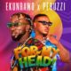 Ekunrawo ft Peruzzi - For My Head
