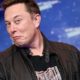 Elon Musk Has Limited How Many Tweets Users Can Read a Day