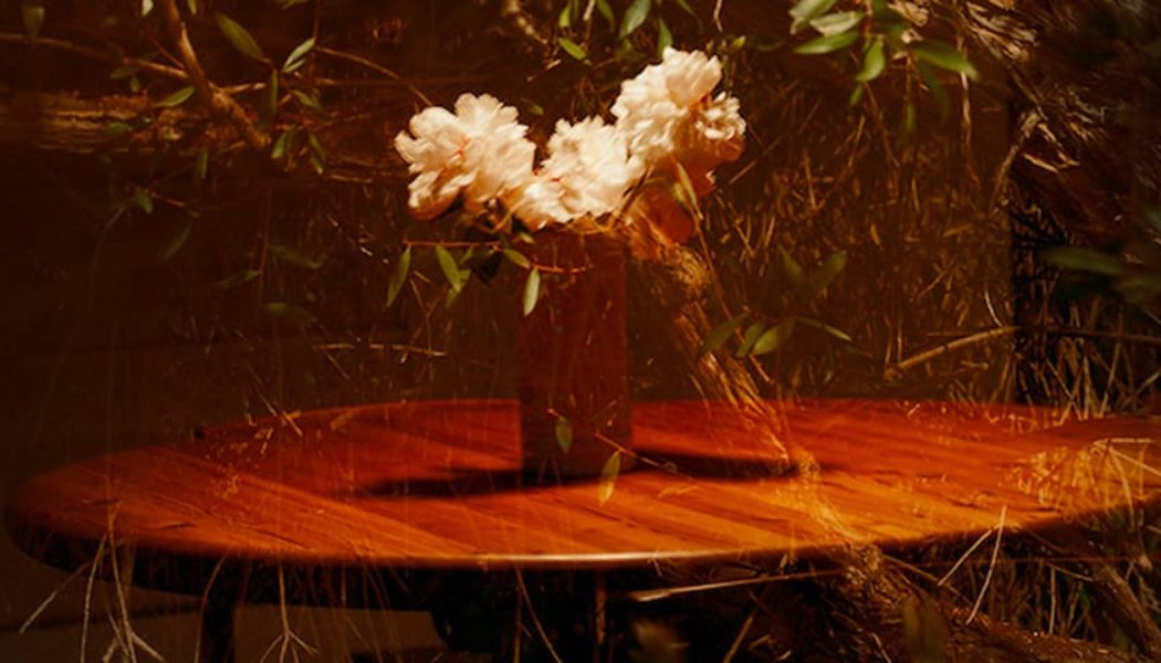 “Everywhere You Go There You Are” Marks Shaniqwa Jarvis’ Los Angeles Solo Debut