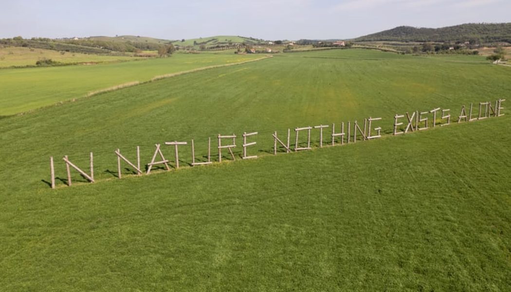 Hypermaremma, Terraforma & K-Way Present Charlemagne Palestine at La Ferriera