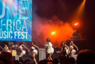 Interswitch's One Africa Music Fest to hold in UK August 11