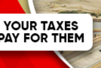 INTERVIEW: Why AML seeks to preserve knowledge of African, Nigerian music - Anu Onasanya