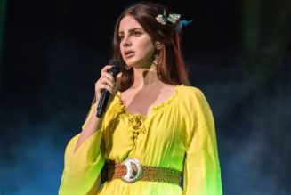 Lana Del Rey target of death threats, man arrested