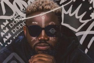 Magnito - I Am Dodo (Album)