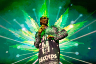 Nardwuar Interviews Snoop Dogg On 'High School Reunion' Tour