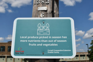 Promoting health and history with Bagg’s Square Mile