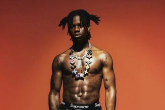 Rema Hits 2 Billion Career Streams On Spotify — NaijaTunez