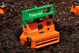 Retrospekt Teams Up With Carrots for Limited-Edition Polaroid Camera