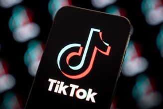 TikTok Launches "Elevate" Music Program