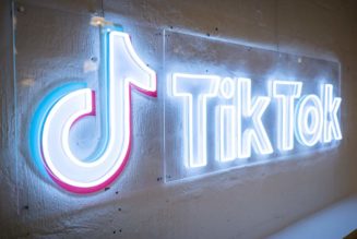 TikTok's new program aims to identify rising artists in the music industry | TechCrunch