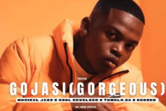 Tyler ICU ft Musical Jazz, Soul Revolver, Tumelo ZA & Kgocee - Gojasi (Mp3 Download) â NaijaTunez