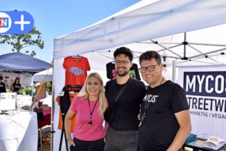 Vegan Summer in Eckernförde: Tipps und Trends aus der ganzen Republik