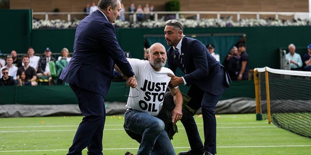 Protester arrested by security at Wimbledon