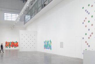 Bridget Riley Plays With Perception in Massive Wall Art Exhibition