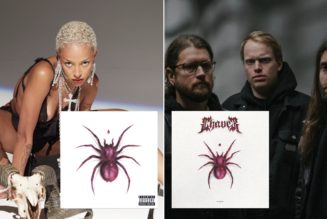Doja Cat and German metal band Chaver pretty much have same album artwork