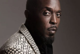 Drug dealer who sold fatal fentanyl-laced heroin to Michael K. Williams sentenced to prison