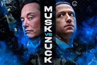Elon Musk Insists Cage Match With Mark Zuckerberg Is Still Happening