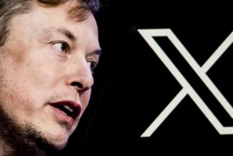 Elon Musk Offers to Pay Legal Bills for X Users