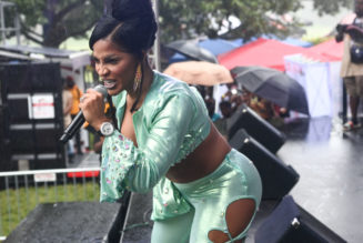Joseline Hernandez Facing Felony Charges After Big Lex Fight