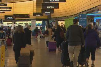 Local travel agency prepares for new visa travel requirements