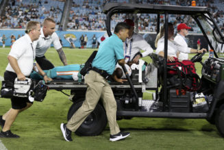 NFL preseason: Dolphins rookie Daewood Davis exits in stretcher, game vs. Jaguars suspended