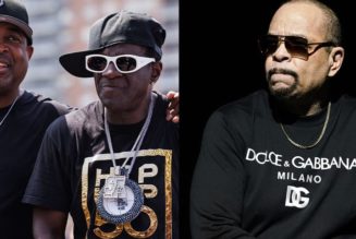 Public Enemy and Ice-T To Headline The National Celebration of Hip Hop Concert