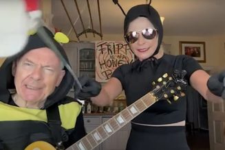 Robert Fripp and Toyah cover The Hives' "Hate to Say I Told You So": Watch