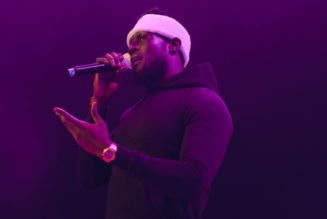 Rocking the Daisies partners with Platoon for Cape Town festival