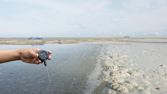 Environmental toxins: Exposure to certain chemicals and toxins can be harmful to the liver. Make sure to detox with natural remedies.&nbsp;(Shutterstock)