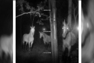 1017 ALYX 9SM Unveils Montell Fish Single "Minotaur's Song"