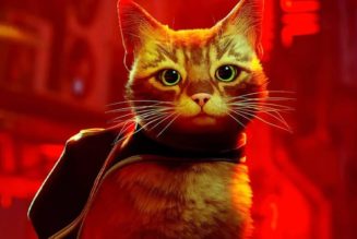 Annapurna Interactive’s 'Stray' Video Game Is Receiving a Movie Adaptation