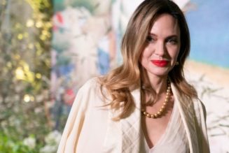 Brad Pitt who? ‘Single mom’ Angelina Jolie ditches UN work to launch luxury fashion brand