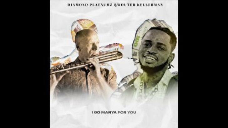 Diamond Platnumz &#8211; Pounds &#038; Dollars ft Wouter Kellerman
